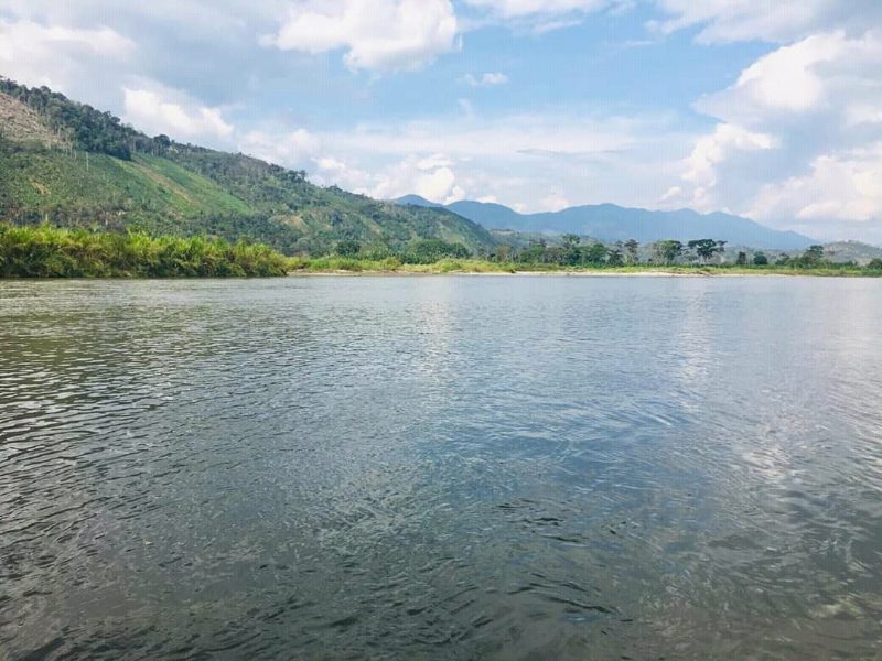 La mejor época para visitar la Selva Central del Perú (guía por temporada)